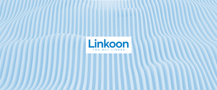 010/ White Label Links for Agencies